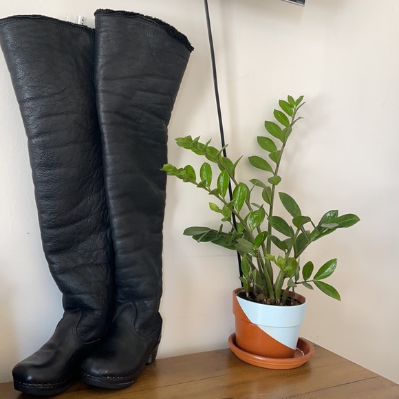 Swedish Hasbeens - Picture 5 of 7